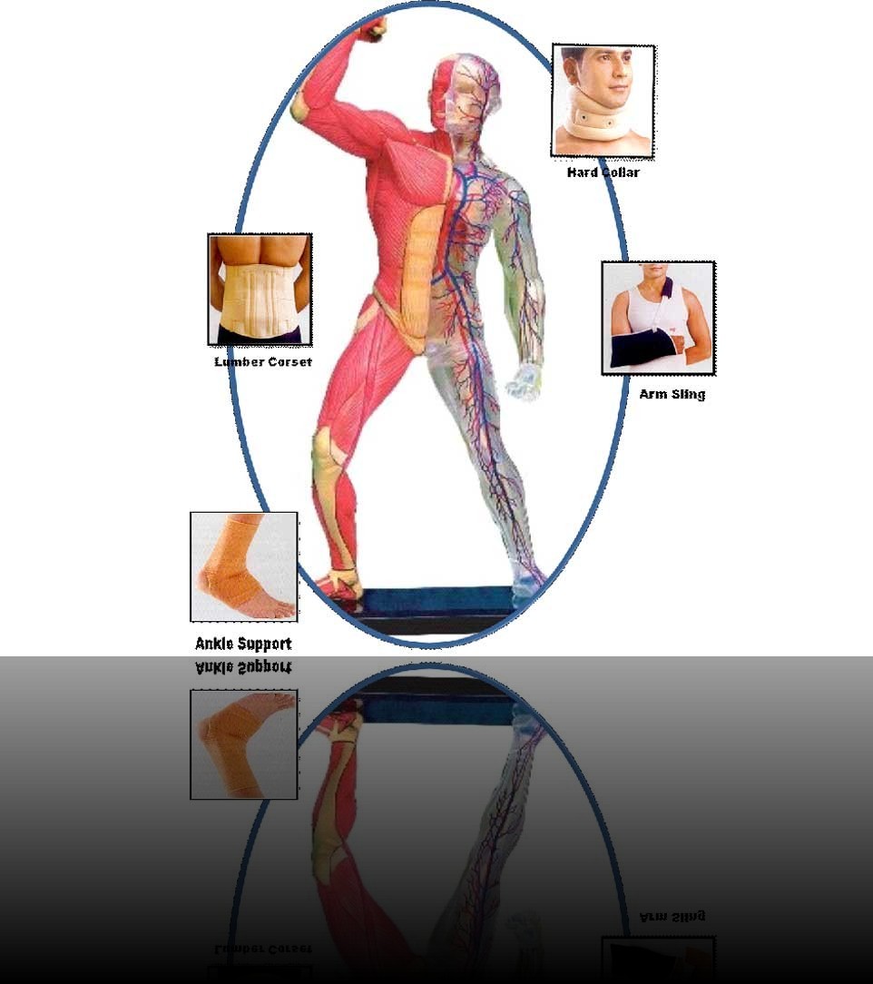 Orthocare Products